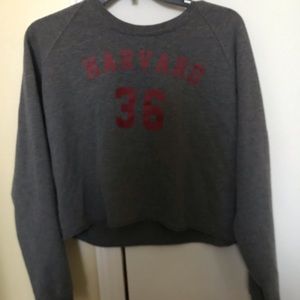 Harvard Sweatshirt